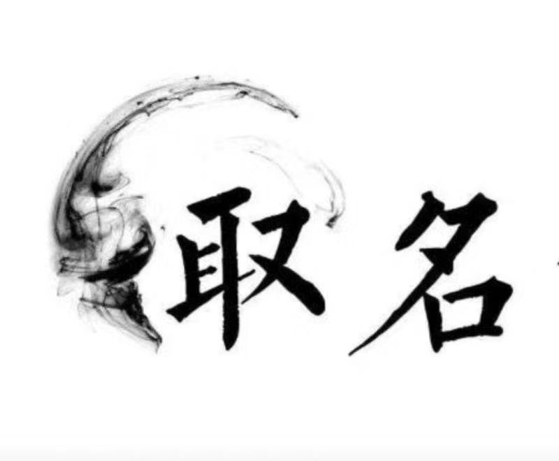  双湖宝宝取名 大师一对一人工起名